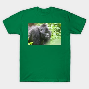 Male Silverback Gorilla in Uganda T-Shirt